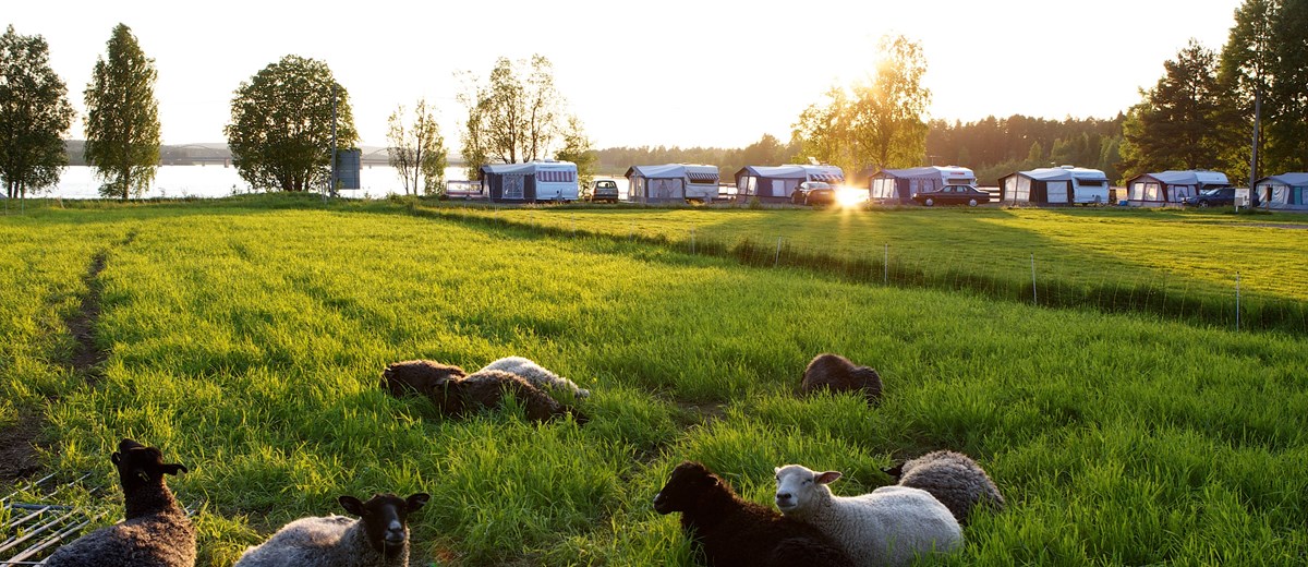 Bättre marknadsvillkor SCR Svensk Camping