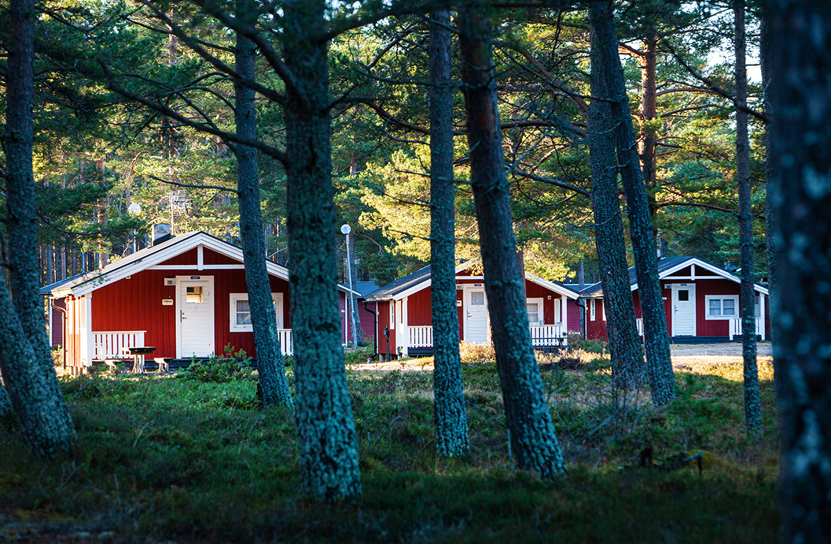 Tre röda stugor i skogsmiljö på Stenö Havsbad och Camping